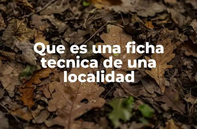 Que es una Ficha Tecnica de una Localidad