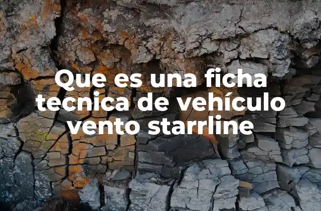 Que es una Ficha Tecnica de Vehículo Vento Starrline