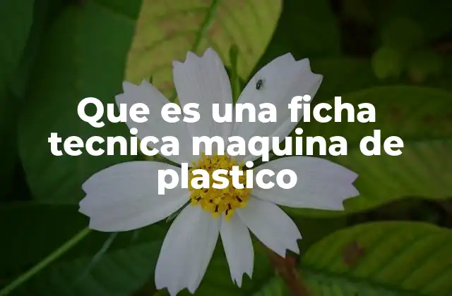 Que es una Ficha Tecnica Maquina de Plastico