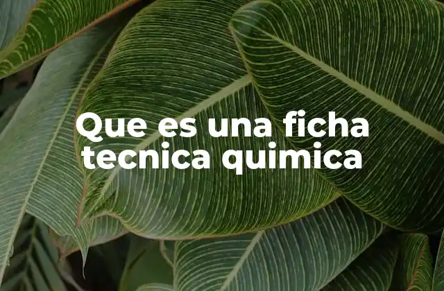 Que es una Ficha Tecnica Quimica