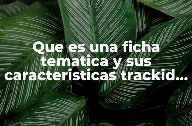 Que es una Ficha Tematica y Sus Caracteristicas Trackid Sp-006