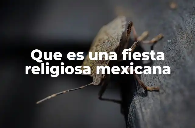 Que es una Fiesta Religiosa Mexicana