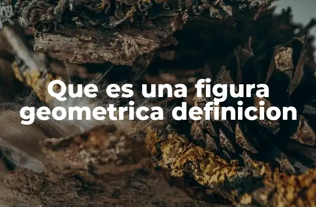 Las bases de la geometría y sus figuras