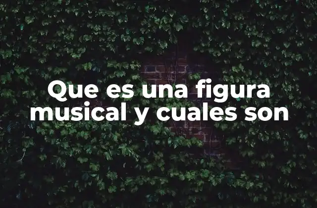 Que es una Figura Musical y Cuales Son