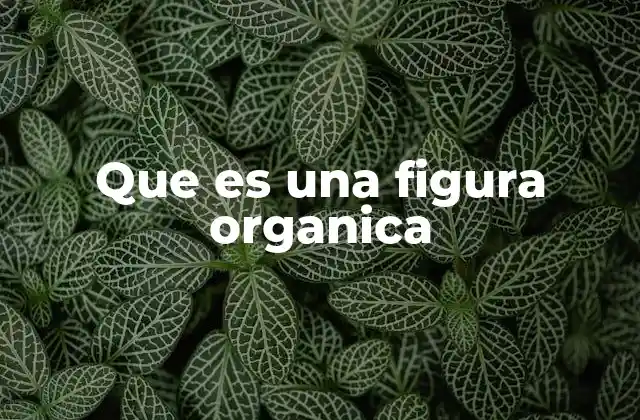Que es una Figura Organica
