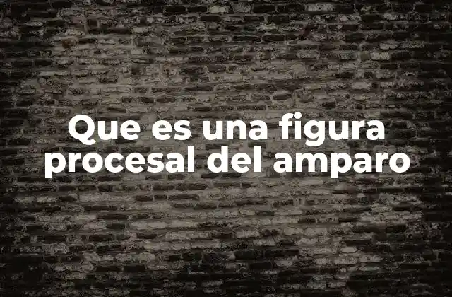Que es una Figura Procesal Del Amparo
