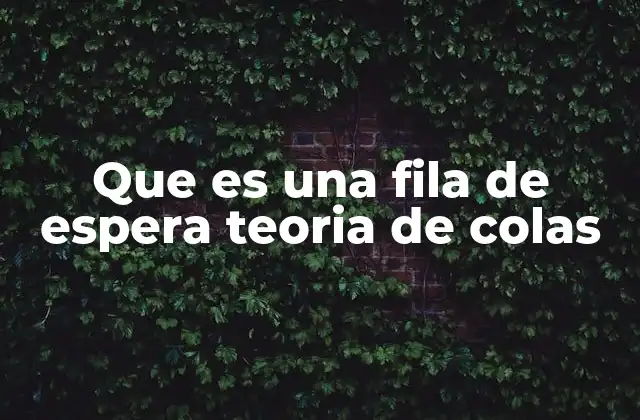 Que es una Fila de Espera Teoria de Colas