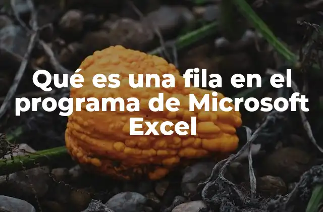 Cómo se relacionan las filas con las columnas y celdas en Excel