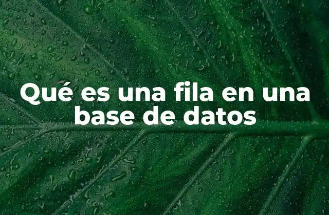 Qué es una Fila en una Base de Datos