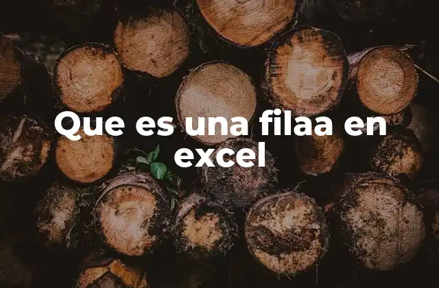 Que es una Filaa en Excel