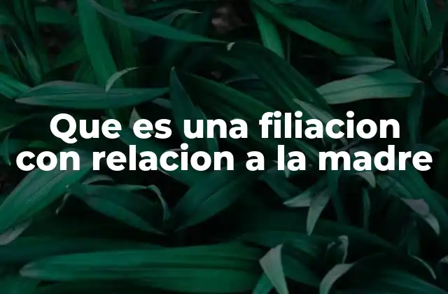 Que es una Filiacion con Relacion a la Madre 2 El papel de la madre en la identidad y el desarrollo del hijo