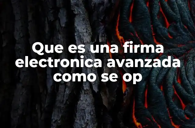 Que es una Firma Electronica Avanzada como Se Op
