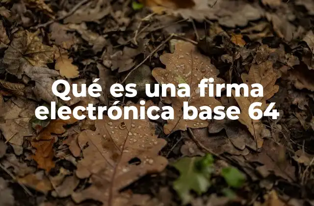 Qué es una Firma Electrónica Base 64