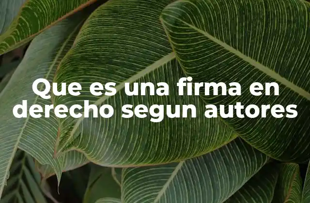 Que es una Firma en Derecho Segun Autores