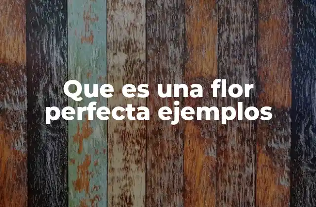 Que es una Flor Perfecta Ejemplos 2 La importancia de las flores perfectas en la reproducción vegetal