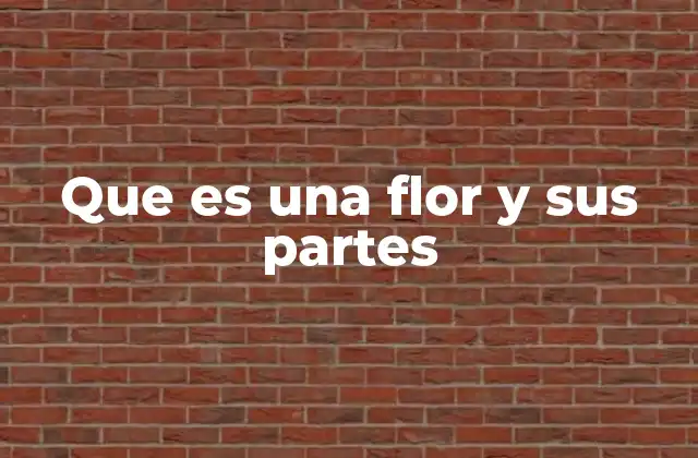 Que es una Flor y Sus Partes
