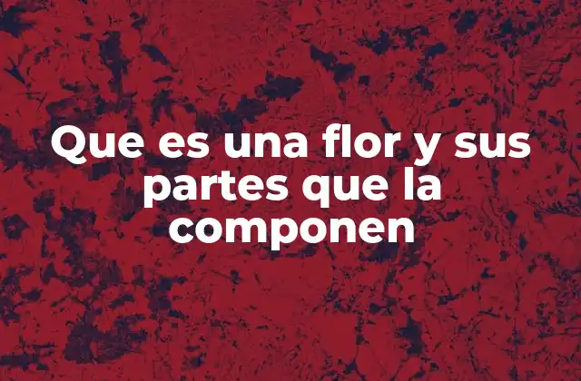 Que es una Flor y Sus Partes que la Componen