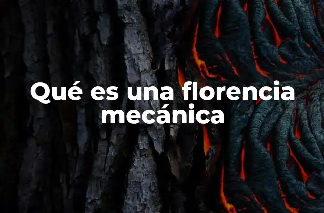 Qué es una Florencia Mecánica