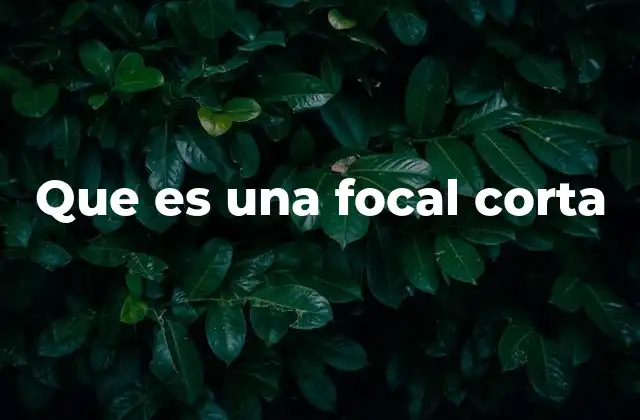 Que es una Focal Corta