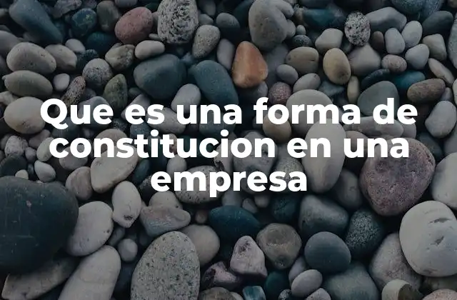 Que es una Forma de Constitucion en una Empresa