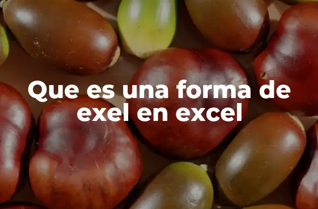 Que es una Forma de Exel en Excel