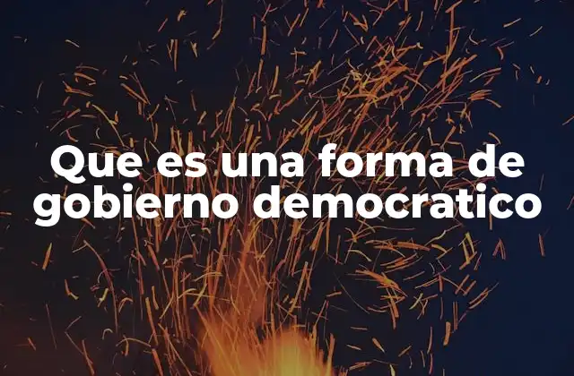 Que es una Forma de Gobierno Democratico