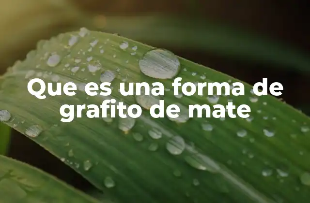 Que es una Forma de Grafito de Mate