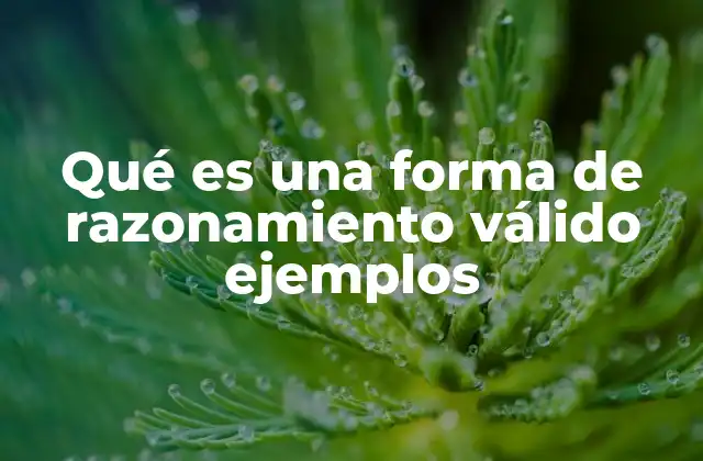 Qué es una Forma de Razonamiento Válido Ejemplos