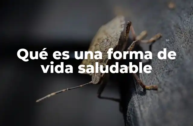 Qué es una Forma de Vida Saludable