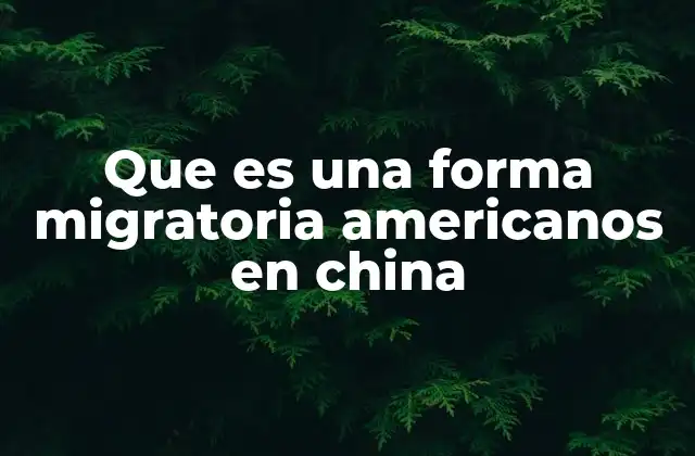 Que es una Forma Migratoria Americanos en China