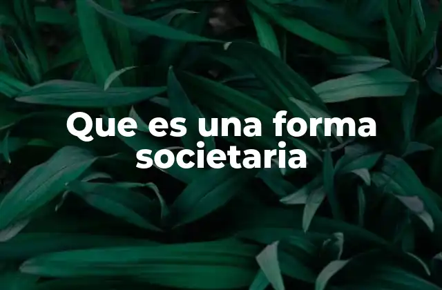 Que es una Forma Societaria 2 Tipos de estructuras societarias en el derecho mercantil