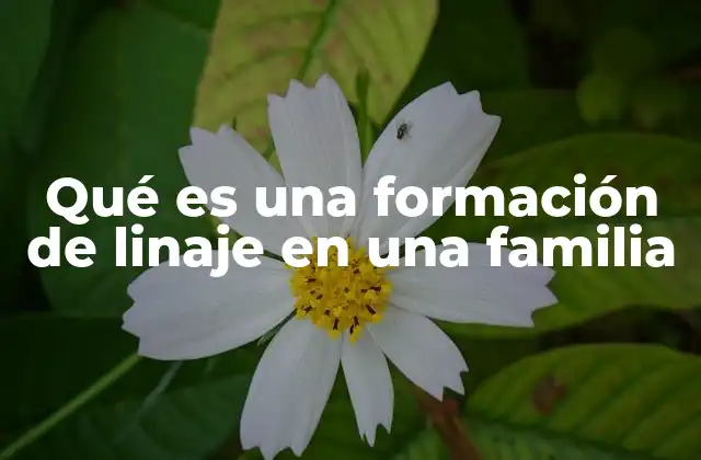 Qué es una Formación de Linaje en una Familia