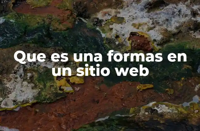 La importancia de las formas en la interacción web
