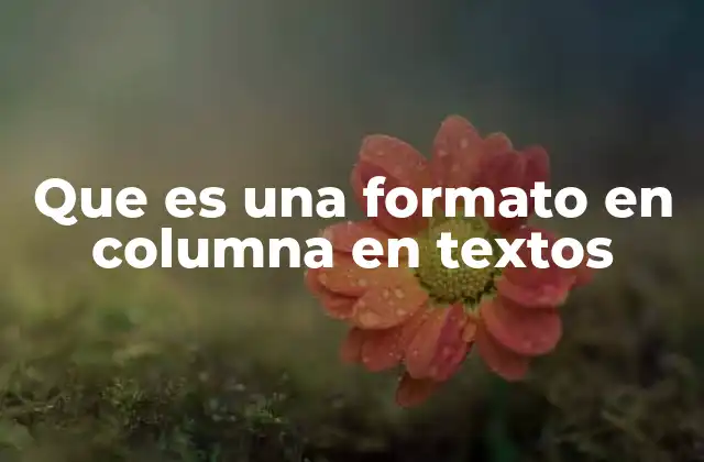 Que es una Formato en Columna en Textos
