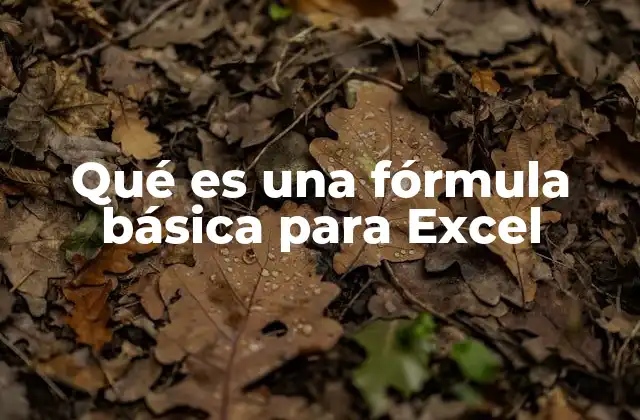Qué es una Fórmula Básica para Excel