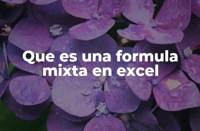 Que es una Formula Mixta en Excel
