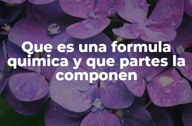 Que es una Formula Quimica y que Partes la Componen