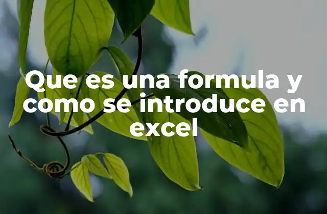 Que es una Formula y como Se Introduce en Excel