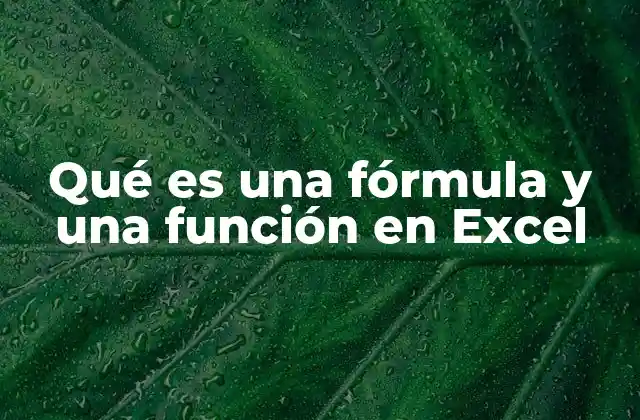 Qué es una Fórmula y una Función en Excel