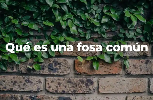 Qué es una Fosa Común