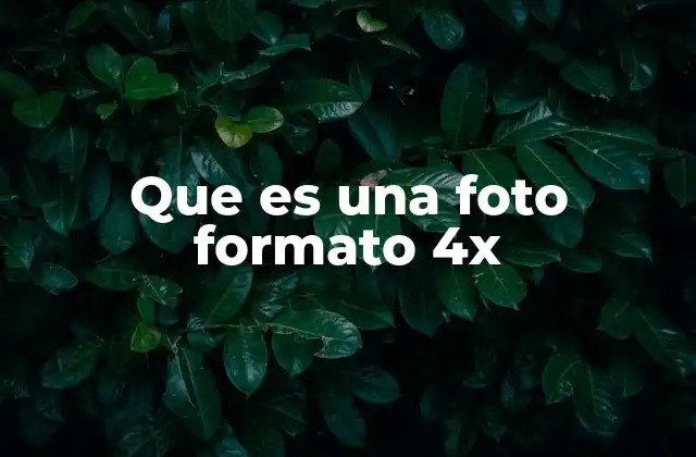 Que es una Foto Formato 4x 2 El tamaño perfecto para la fotografía impresa