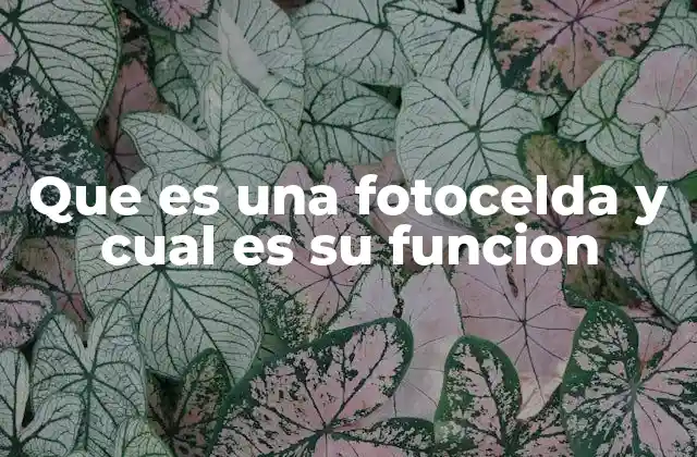 Que es una Fotocelda y Cual es Su Funcion