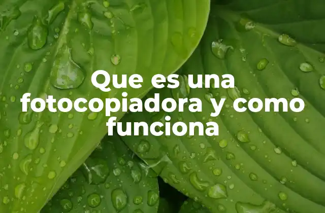 Que es una Fotocopiadora y como Funciona 2 La evolución tecnológica detrás del proceso de copiado