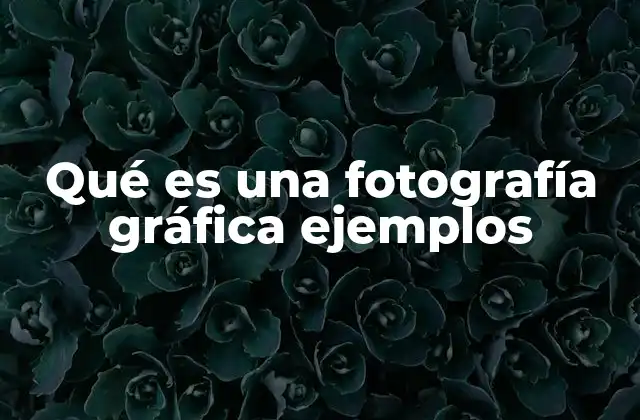 Diferencias entre fotografía gráfica y fotografía artística