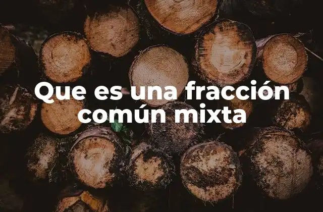 Que es una Fracción Común Mixta