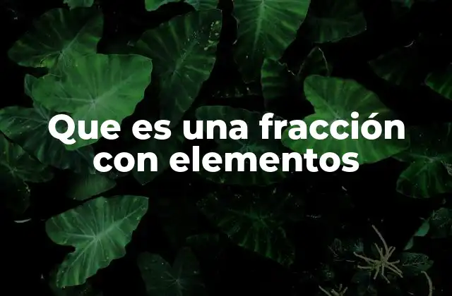 Que es una Fracción con Elementos