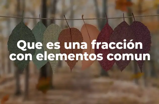Que es una Fracción con Elementos Comun