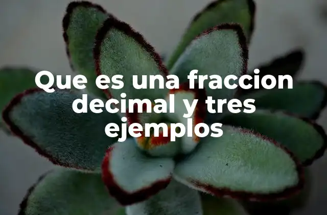 Que es una Fraccion Decimal y Tres Ejemplos
