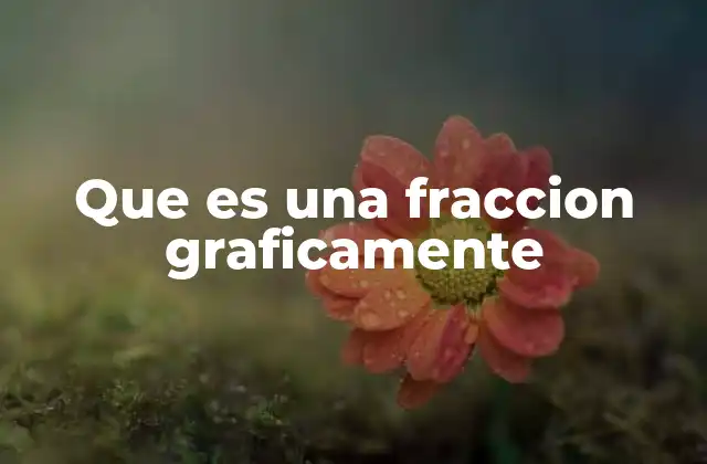 Que es una Fraccion Graficamente