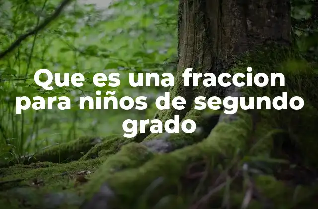 Que es una Fraccion para Niños de Segundo Grado